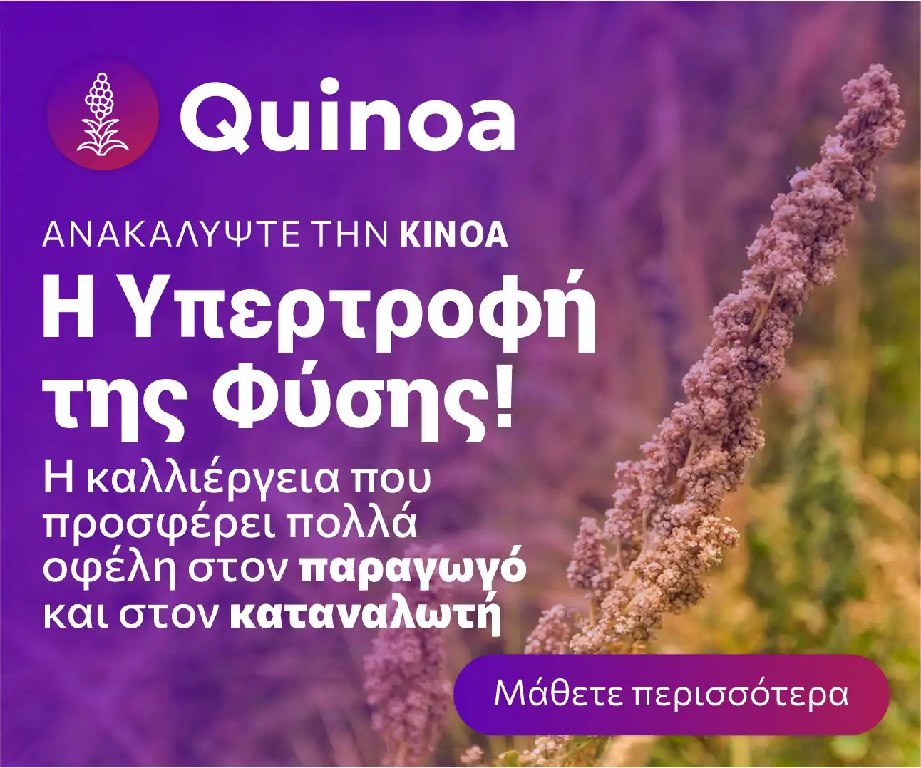 adBanner5 quinoa • Αρχική Θεσσαλική Γη • Thessaliki Gi Τα Νέα της Θεσσαλικής Γης