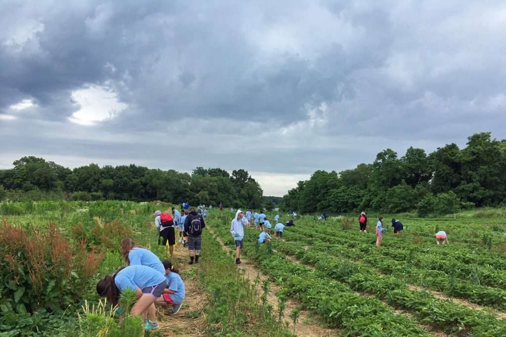 agrotourism 2 • Ο Αγροτουρισμός ΔΕΝ είναι τουριστικό επάγγελμα, αλλά αγροτικό επάγγελμα • Thessaliki Gi Τα Νέα της Θεσσαλικής Γης