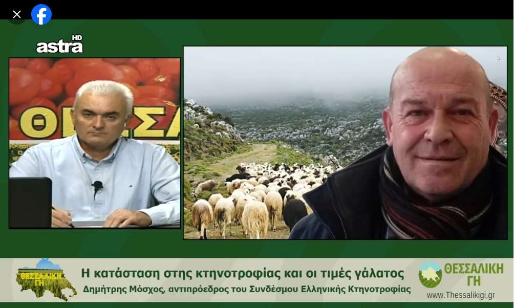 moschos gristos • Νέα καραμπινάτη νοθεία Φέτας με εμπλεκόμενους …και παραγωγούς;    • Thessaliki Gi Τα Νέα της Θεσσαλικής Γης