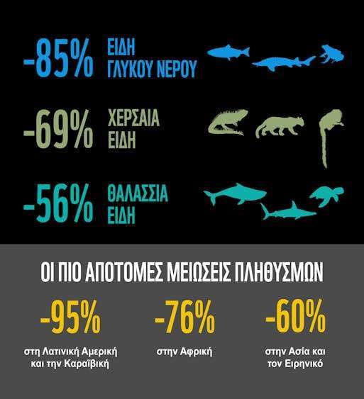 ygeia planiti • Δραματική μείωση 73% των πληθυσμών άγριας ζωής σε μόλις 50 χρόνια • Thessaliki Gi Τα Νέα της Θεσσαλικής Γης